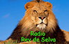 Radio Rey De Selva